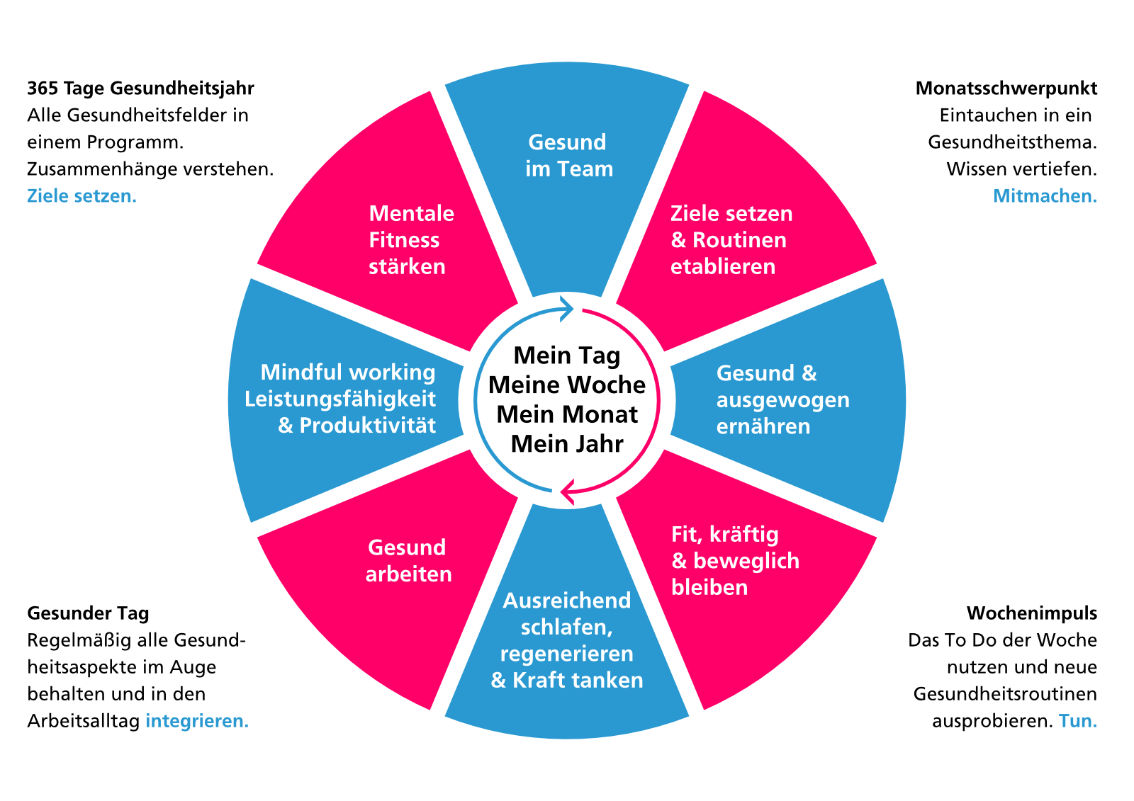 grafik-bgf-praevention-gesundheit-bewegt-praeventionsmodell